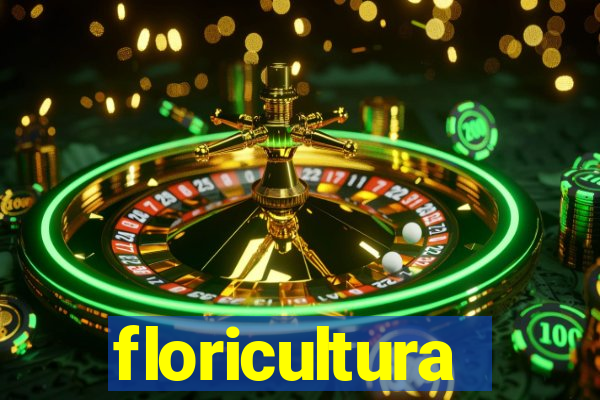 floricultura juazeiro bahia